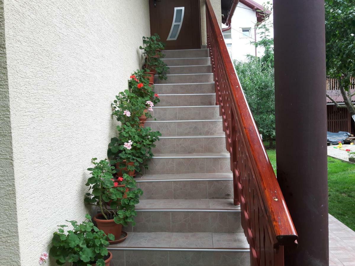 Apartman Petra & Tena Slunj Exterior photo